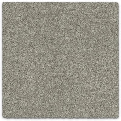 Natural Grey Carpet