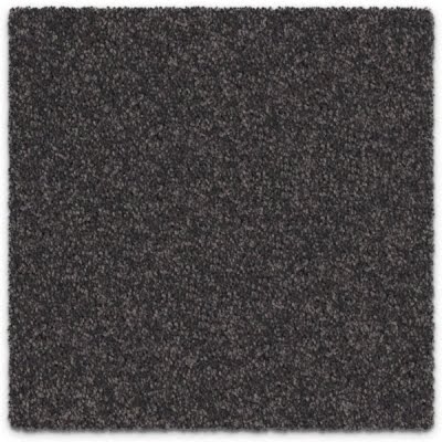 Nigella Seed Carpet