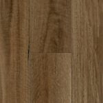 PG1501 NSW Spotted Gum