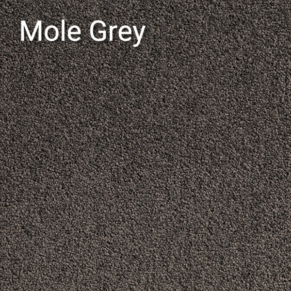 Atlantic-Mole-Grey