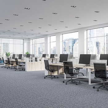Carpet Flooring for office space