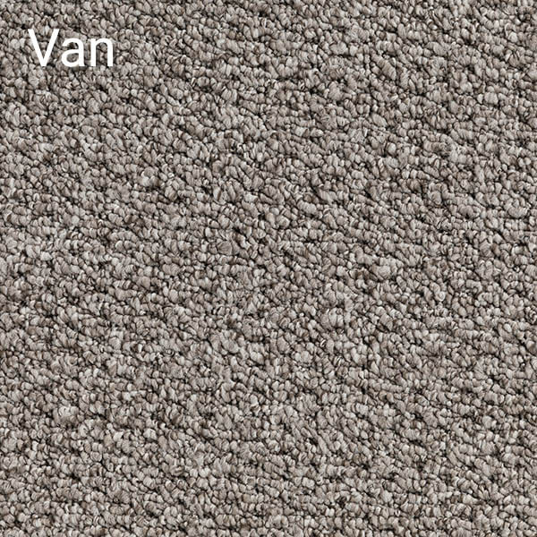 Flashtone-Van-Carpet