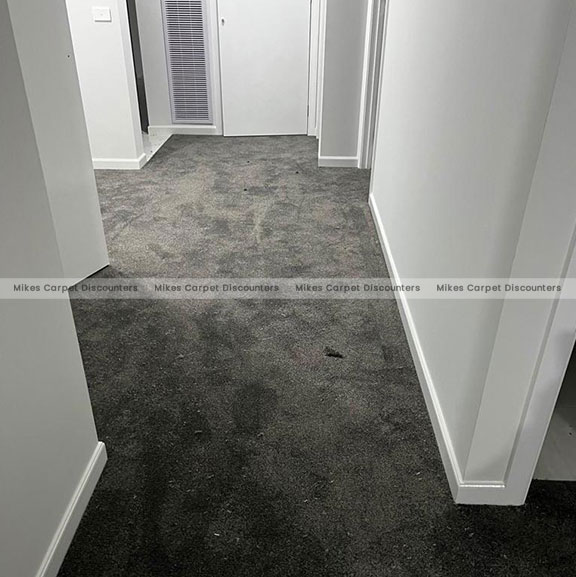 https://www.mikescarpets.com.au/wp-content/uploads/2022/08/Carpet-05.jpg