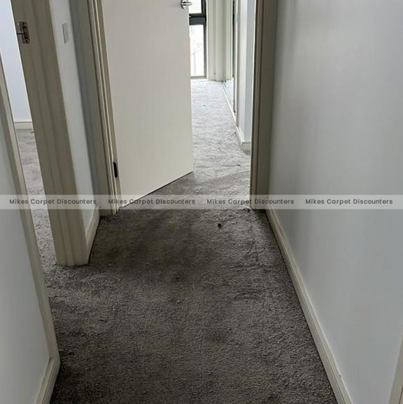 https://www.mikescarpets.com.au/wp-content/uploads/2022/08/Carpet-20.jpg